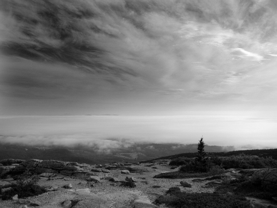 view from Cadillac mtn