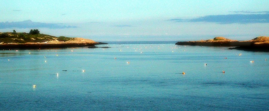 Water Island Buoys